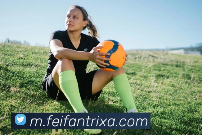 非凡体育平台生态图