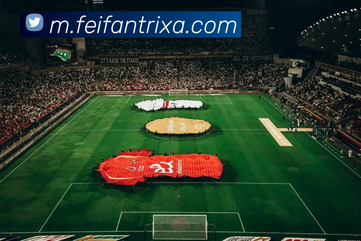 非凡体育APP 封面图